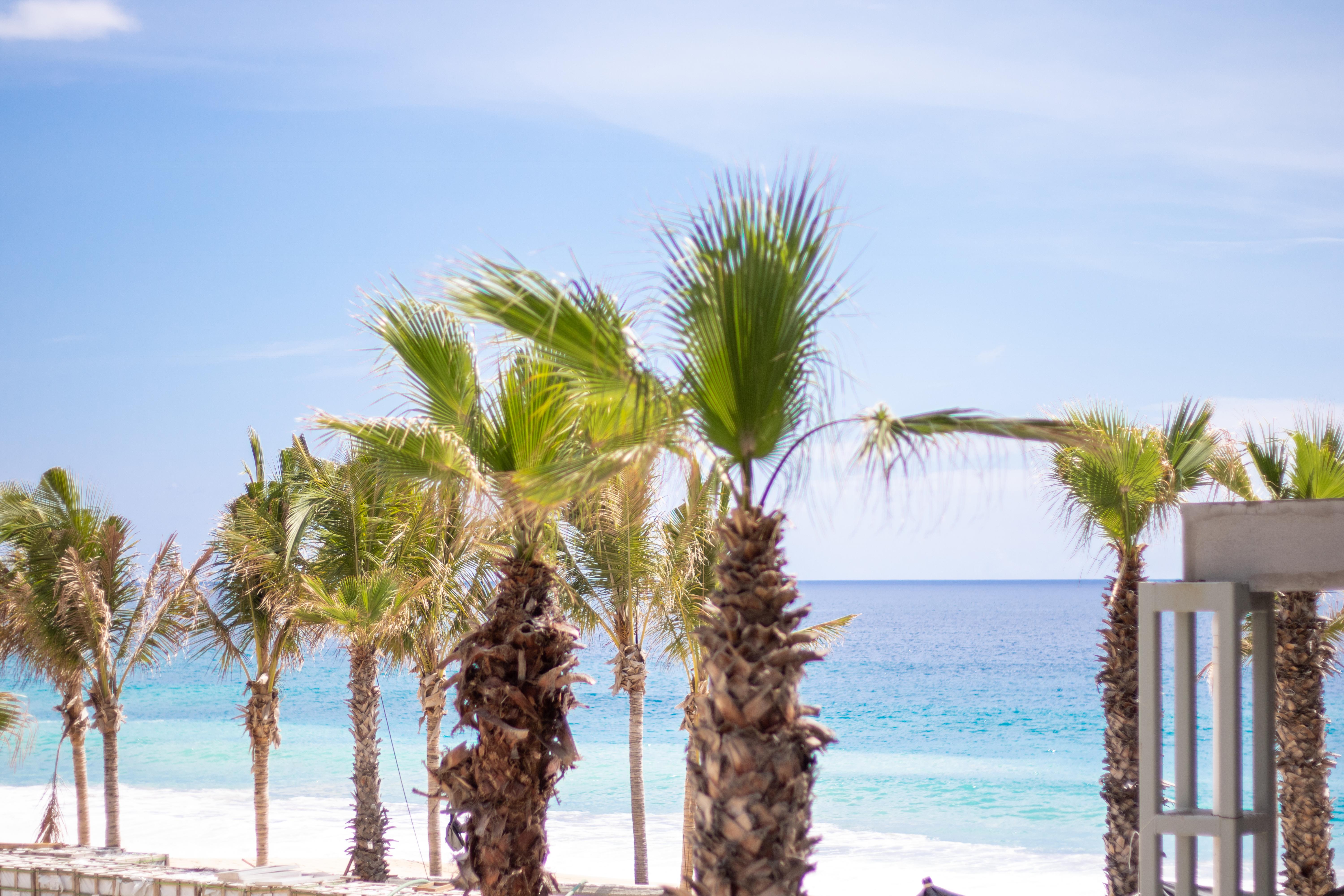 Garza Blanca Resort & Spa Los Cabos 卡波圣卢卡斯 外观 照片